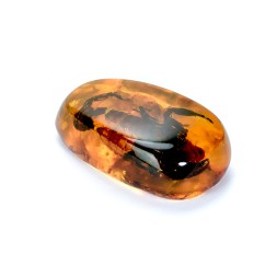 Сувенирный камень &quot;Скорпион&quot;, Янтарь полунатуральный с инклюзом